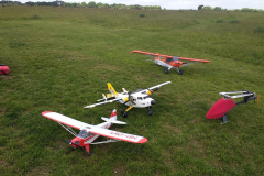 IMG_20240609_114029372-999